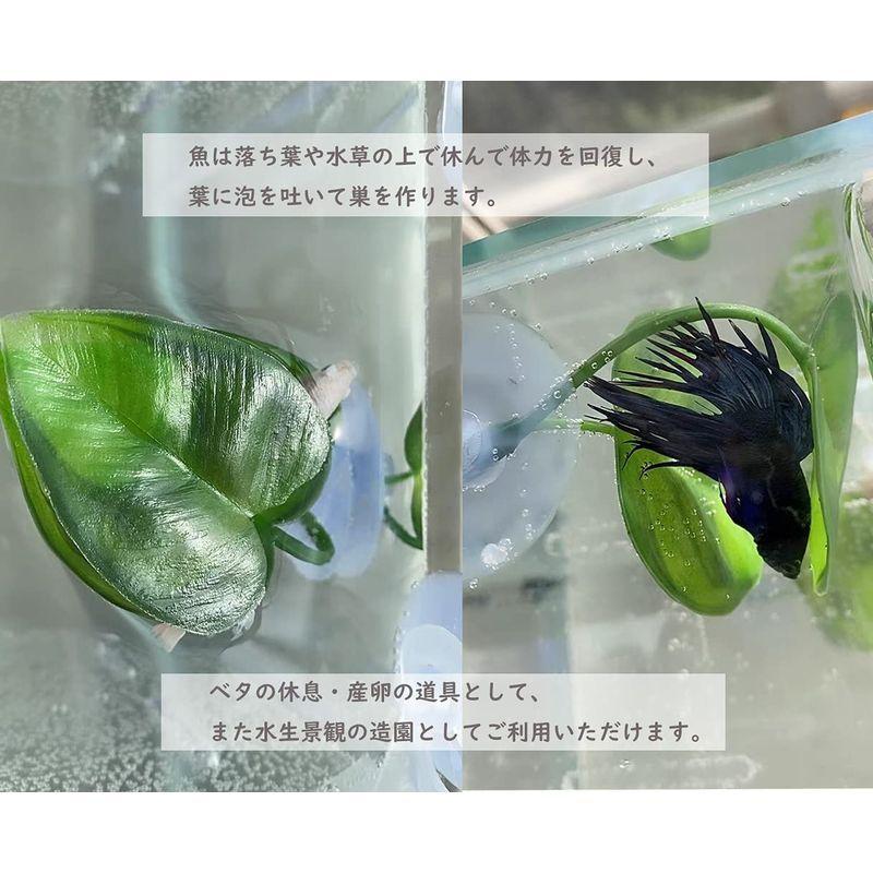 3点セット 水草 人工水草 水槽装飾 癒し水景 ベタ 魚 休み 繁殖用 ベタハンモック ベタ 水槽 水作 ベタのおやすみリーフ ホビーショップballon Yahoo 店 通販 Yahoo ショッピング