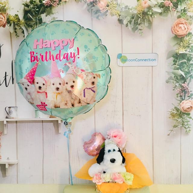 ぬいぐるみバルーン電報 わんちゃんぬいぐるみ お誕生日バルーン Ty 001 バルーン電報バルーンコネクション 通販 Yahoo ショッピング