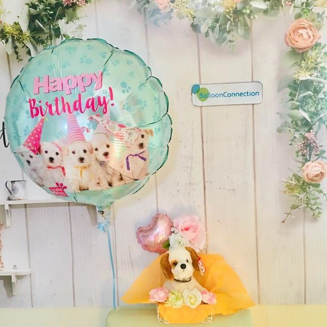 誕生日おめでとう ぬいぐるみバルーン電報 犬 Ty 017 バルーン電報バルーンコネクション 通販 Yahoo ショッピング