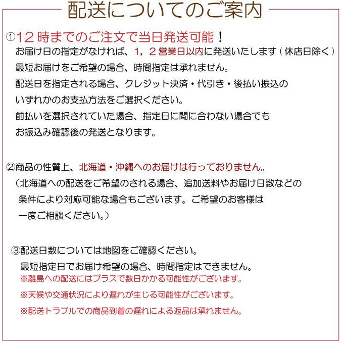 卒園 卒業 バルーンギフト バルーンフラワー  誕生日 開店祝い 結婚式 周年 長寿祝い 還暦 花 バルーン電報 フラワー ソープフラワー 大人の贈り物 ＃8025｜balloon-tino｜13