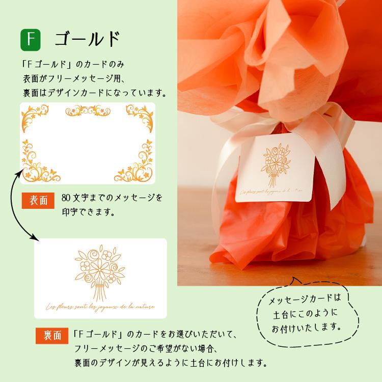 名入れバルーン 豪華 バルーン電報 結婚式 誕生日 開店祝い 発表会 周年祝い ウェディング バースデー フラワーバルーン バルーンフラワー ニュアンスカラー | ブランド登録なし | 12