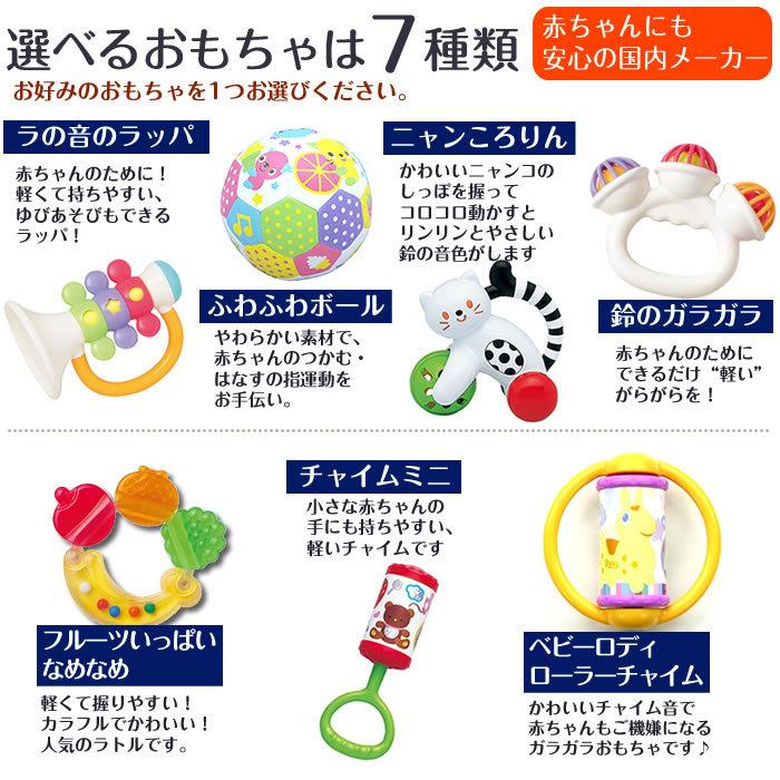 出産祝い おむつバスケット おむつケーキ 名入れ刺繍 Sassy サッシ ロディ 日本製 おもちゃ 売却 バケツ タオル オムツケーキ オムニウッティ