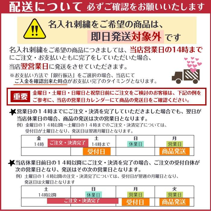 出産祝い おむつケーキ 3段 名入れ刺繍 Sassy サッシ― Rody ロディ おもちゃ バルーン オムツケーキ ダイパーケーキ パンパース 出産祝 | Sassy（知育玩具） | 12