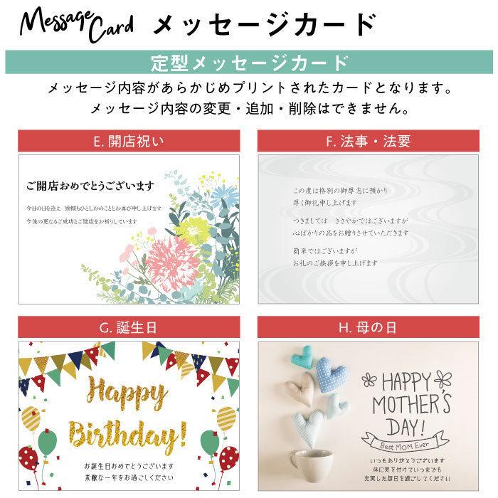 送料無料 ポイント10倍 開店記念 プレゼント フラワーアレンジメント