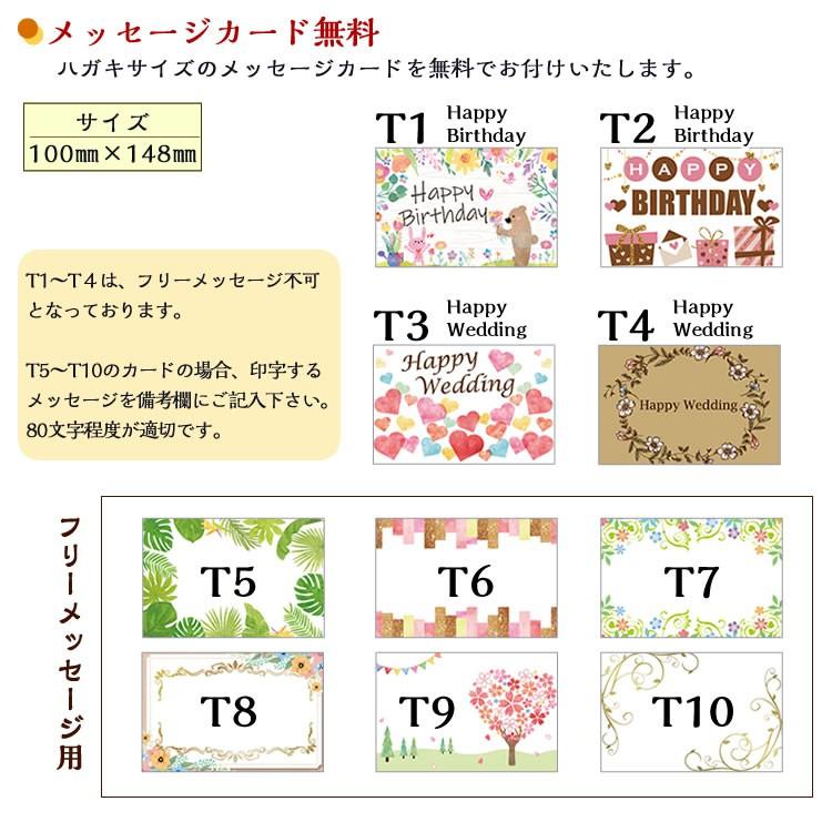 サッシーギフトセット コットンブランケット 出産祝い sassy サッシー ギフト タオル 誕生日 ベビーギフト | Sassy（知育玩具） | 03