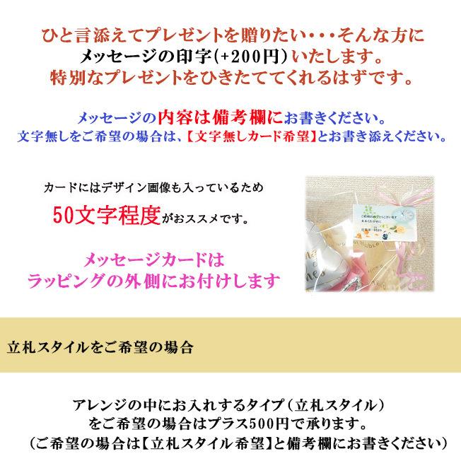 Open バルーンアレンジ いぬ 犬 オープン記念 開店祝い 花 花束 イヌ バルーン ギフト 贈り物 おしゃれ ペットショップ ペットサロン Dog Balloon Arrangement034 ジュエルplus 通販 Yahoo ショッピング
