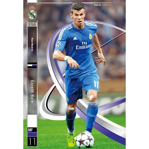 パニーニフットボールリーグ PFL05 限定スター STAR ガレス