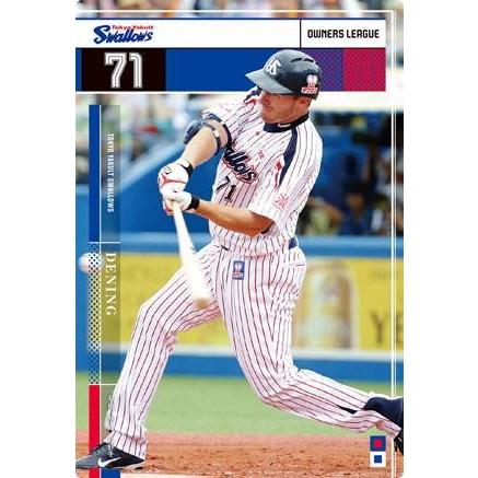 オーナーズリーグ　東京ヤクルトスワローズ　まとめ売り　プロ野球カード オーナーズリーグ 東京ヤクルトスワローズ まとめ売り プロ野球カード