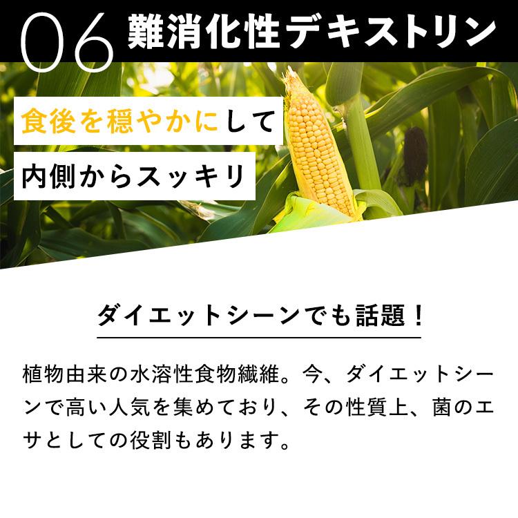 腸活 サプリ 1か月分 乳酸菌 酪酸菌 腸活サプリ ダイエット 菌活 ビフィズス菌 ラクトフェリン オリゴ糖 バンビウォーター｜bambi-water｜13