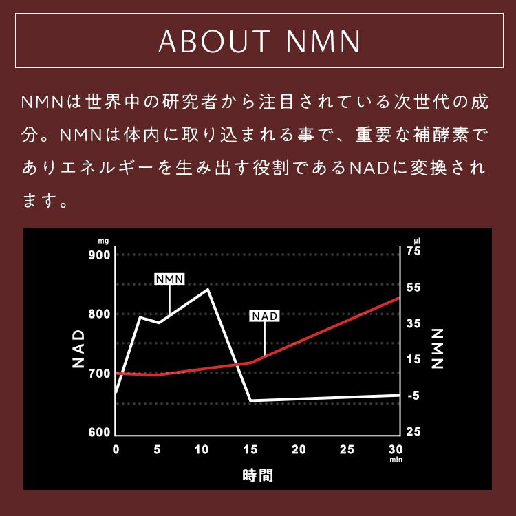 [販売終了] GREEN NMN サプリ 日本製 NMN99.9％ 3600mg エヌエムエヌ NAD ビタミンE ビオチン アスタキサンチン 乳酸菌 無添加 30日分 サプリメント 美容 健康｜bambi-water｜02