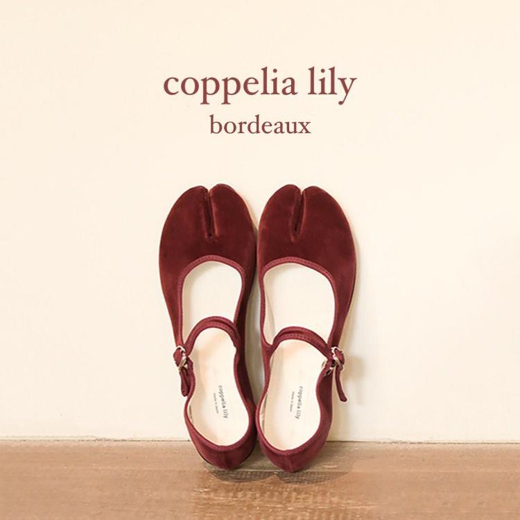 丸五足袋シューズ【コッペリアリリー】シンプルで万能な足袋型フラット