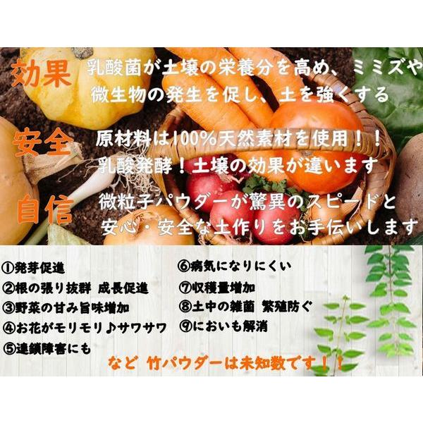 家庭菜園 無農薬 有機野菜 乳酸菌入り竹パウダー 5kg入り ガーデニング 土作り 有機肥料 果物 稲作 みかん 梨 ぶどう Ecoパッケージプラザバンリ 通販 Yahoo ショッピング