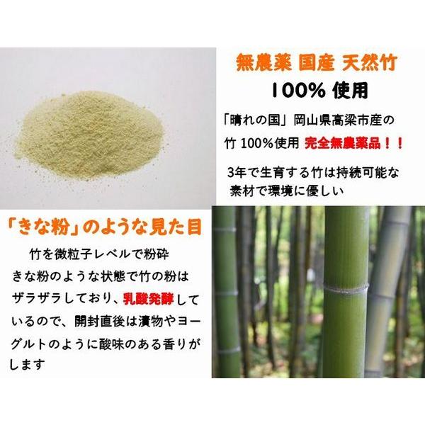 家庭菜園 無農薬 有機野菜 乳酸菌入り 乳酸菌入り竹パウダー２００ｇ お試しサイズ ガーデニング 土作り 有機肥料 果物 稲作 みかん 梨 ぶどう Ecoパッケージプラザバンリ 通販 Yahoo ショッピング
