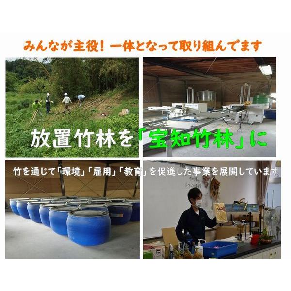 ガーデニング 園芸 土作り バラ 花用 竹パウダー １ｋｇ入 無農薬 有機肥料 花 バラ Ecoパッケージプラザバンリ 通販 Yahoo ショッピング