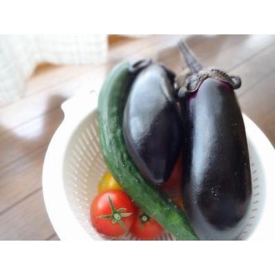 竹チップ 1kg/40円