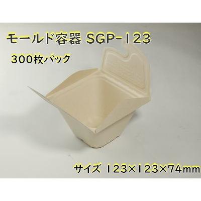 ブランド登録なし - エコ テイクアウト 容れもの モールド容れもの SGP-123 深型 300枚容器に並べる 使い捨て弁当箱、紙バック-弁当箱、水筒