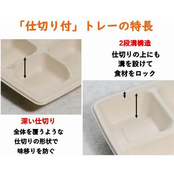 仕切り トレー 容器 使い捨て モールド容器 SGP-181-3S-FT 3つ仕切り ふた付 300枚パックの画像