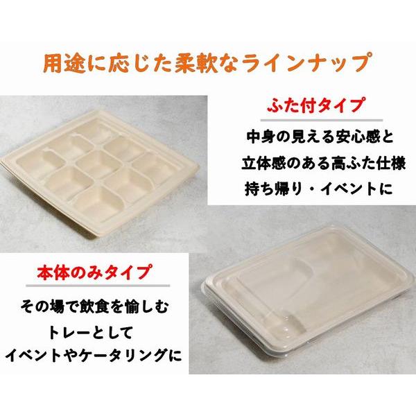 仕切り トレー 容器 使い捨て モールド容器 SGP-181-3S-FT 3つ仕切り ふた付 300枚パックの画像
