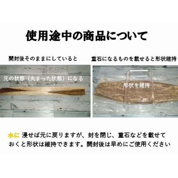 竹の皮 業務用 竹皮型抜 TK-40011 1kgパック : ECOパッケージ 竹の皮 業務用 竹皮型抜 TK-40011 1kgパック : ECOパッケージ