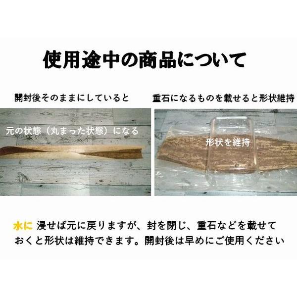 おにぎり 精肉 和菓子 天然竹皮 5kgパック NO,大（広）600〜650×160 