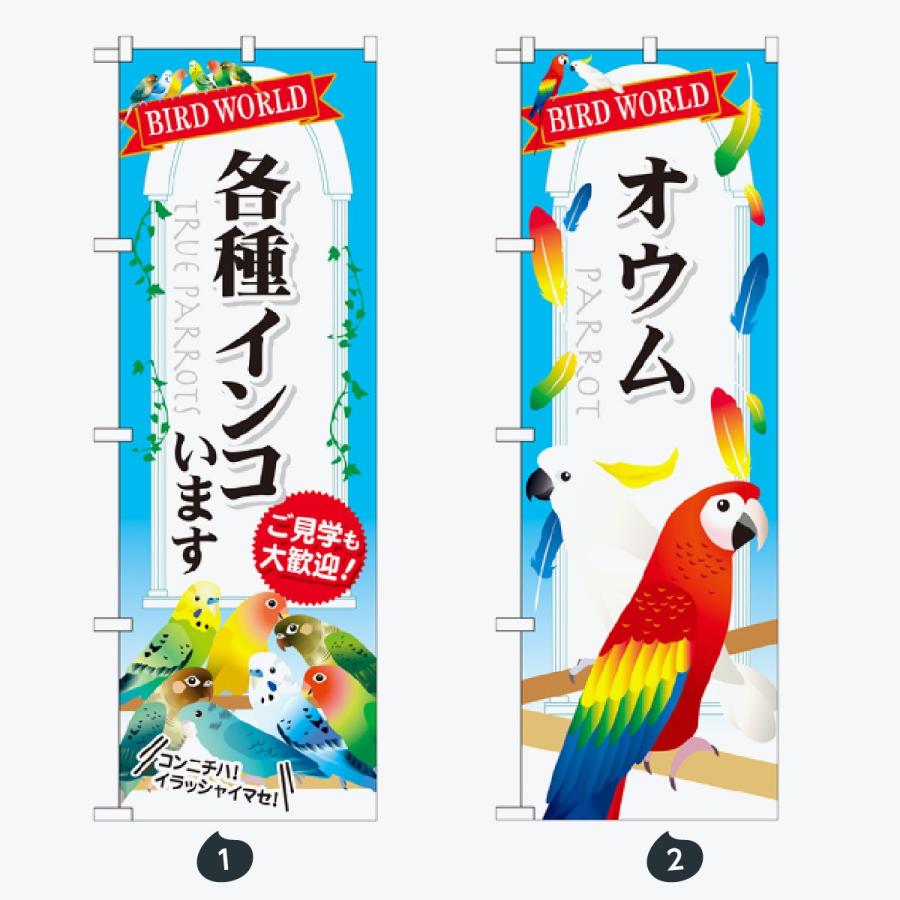 ペットショップ インコ のぼり旗 |  | 01