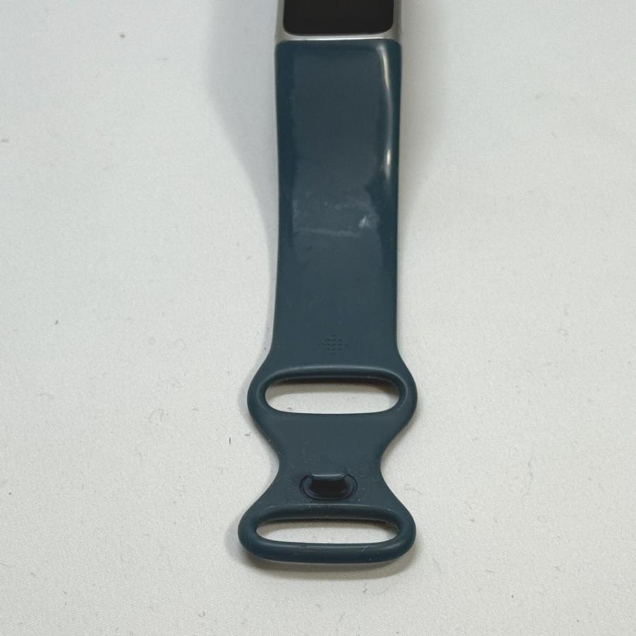 Fitbit Charge 5 スチールブルー-プラチナ 日本正規品 Suica対応 GPS
