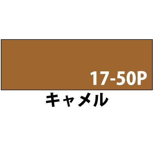 水性木部塗料　ALL　WOOD　1.6L　色：キャメル（日塗工：17-50P相当）