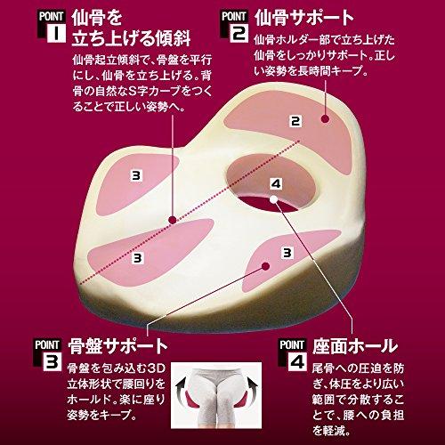 アルファックス 姿勢クッション 仙骨クッション 着座 仙律 ネイビー 1個 (x 1)｜bananamint｜03