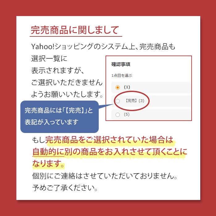 福袋 2026 アクセサリー ネックレス イヤリング ピアス ブレスレット