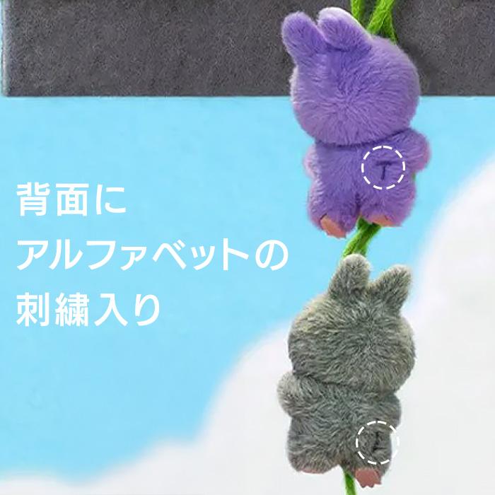 正規品】 ラブブ Labubu イニシャル らぶぶ ぬいぐるみ