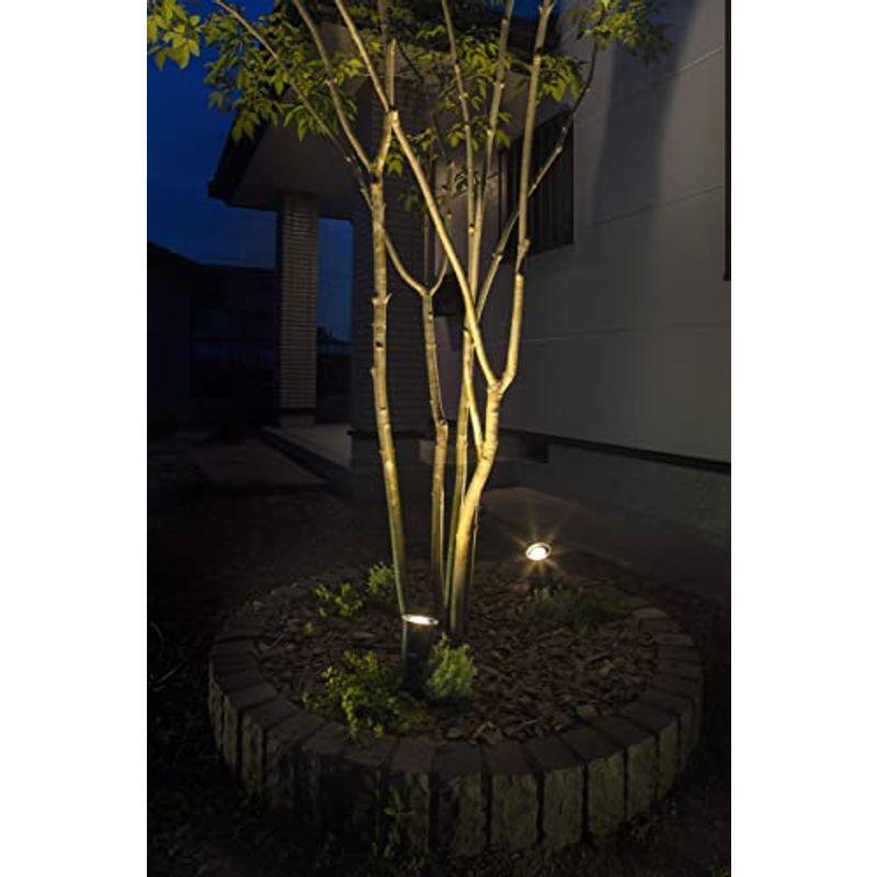 格安で入手する方法 タカショー ひかりノベーション 木のひかり 基本セット 防水 屋外 ガーデンライト 間接照明 鮮やかな光 LGL-LH01P