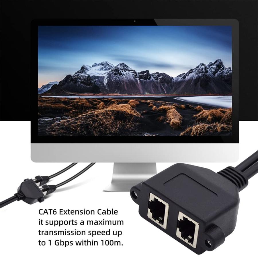 CableccデュアルポートUTP Cat 6オスメスLan Ethernet拡張ケーブル8 P 8 C FTP STP、パネル取付穴付き |  | 02