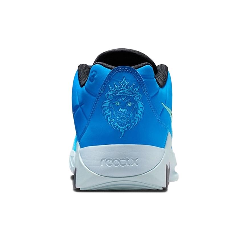 NIKE（ナイキ） 男性 メンズ シューズ LEBRON WITNESS IX EP レブロン