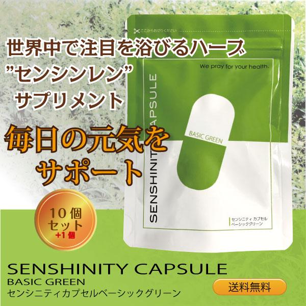 センシニティカプセルベーシックグリーン 120粒10個+1 センシンレン ファータライチョン サンビロート 穿心蓮 送料無料 Pt5倍