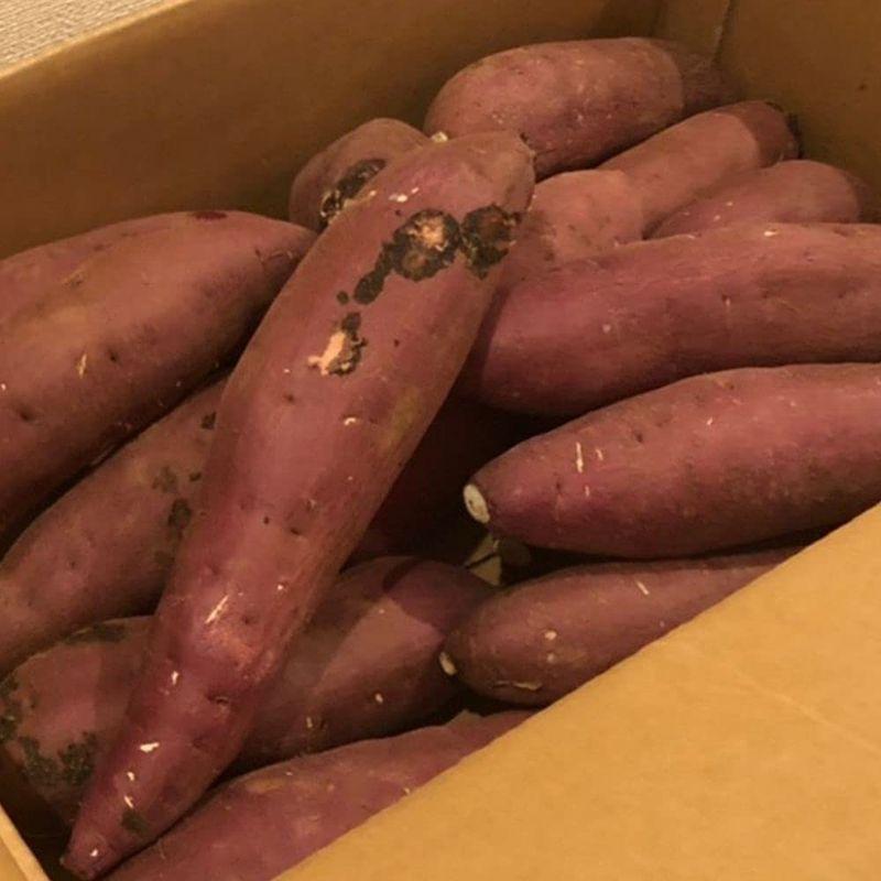 さつまいも 紅はるか 茨城県産 茨城県産 サツマイモ 甘い 生芋 生芋 10kg 坂東商店 21年産 蜜芋 新物 21年産