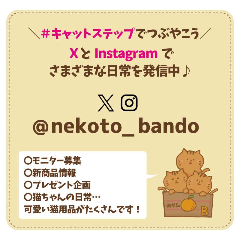 nekoto_キャットステップ |  | 10