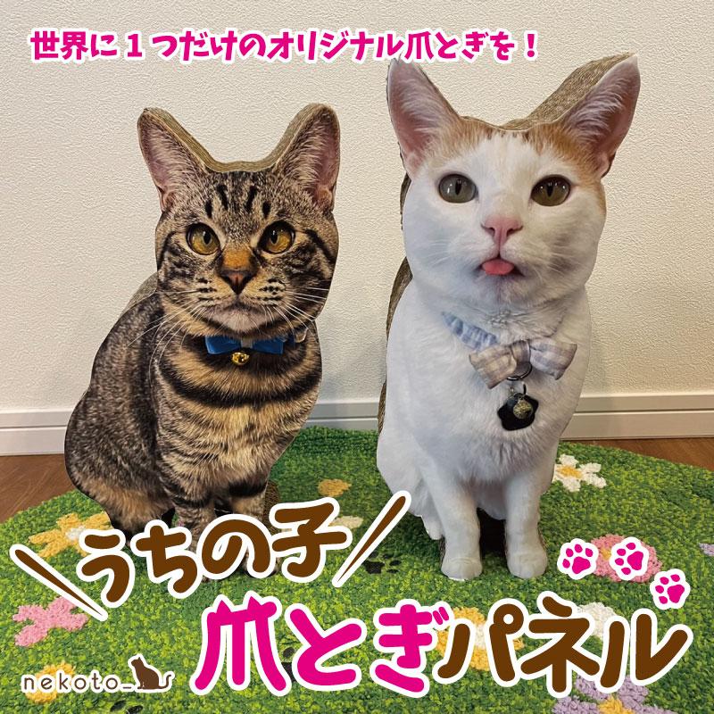 nekoto_うちの子爪とぎパネル : バンドー - 通販 - Yahoo