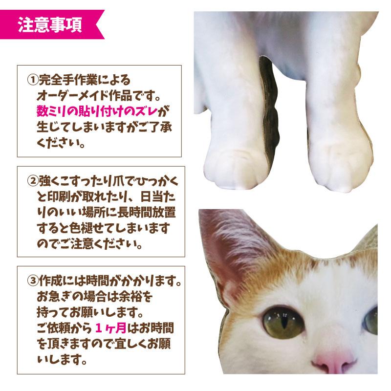 nekoto_うちの子爪とぎパネル : バンドー - 通販 - Yahoo