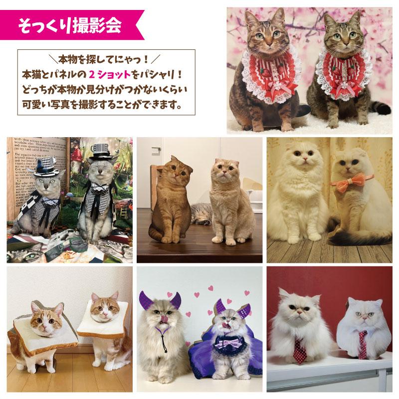 nekoto_うちの子爪とぎパネル : バンドー - 通販 - Yahoo