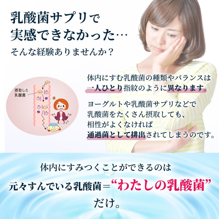 公式 乳酸菌生成エキス 智通 原液タイプ 10ml×30本 約5ヶ月分 公式 乳酸菌生成エキス 智通 原液タイプ 10ml×30本 約5ヶ月分