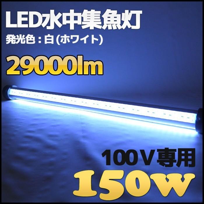 LED 水中集魚灯 水中ライト ライト本体 150w 青 緑 白 黄 マグロ 50v LED 集魚灯|bang-bang|03