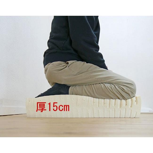 クッション (大) 81LjBiX4a4L._AC_UF350,