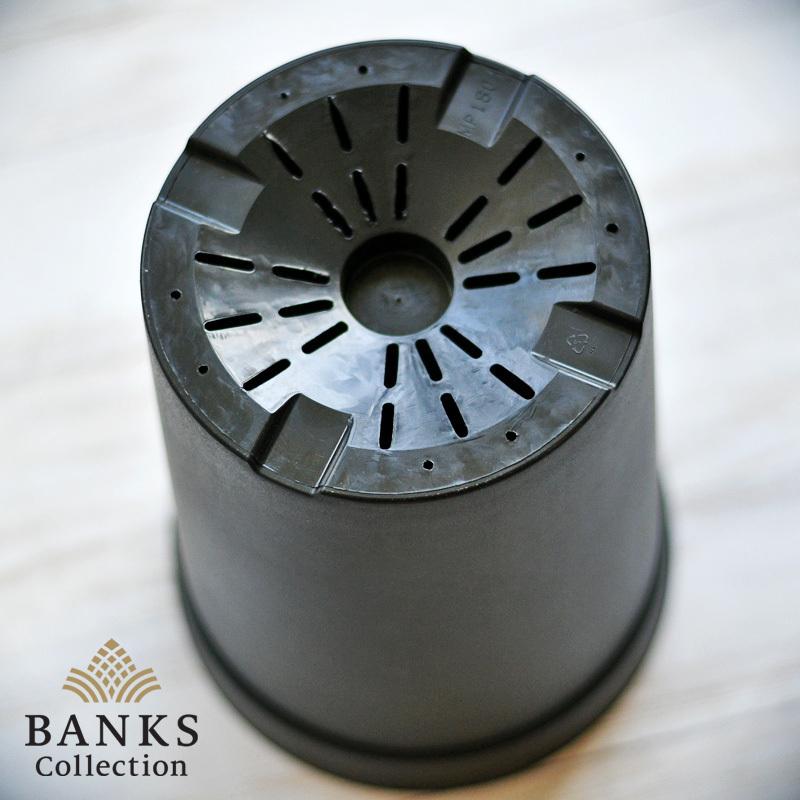 LPL ロングポット大 単品 BC バンクスコレクション プラ鉢 : BANKS