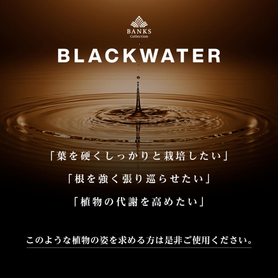 BW50 ブラックウォーター50ml BLACKWATER バンクスコレクション 観葉植物活力剤 【THE COMPOSTとの同時購入はコンボセットがお得です。】｜bankscollection｜04