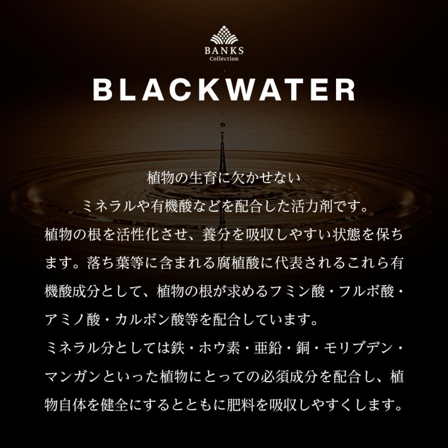 BW50 ブラックウォーター50ml BLACKWATER バンクスコレクション 観葉植物活力剤 【THE COMPOSTとの同時購入はコンボセットがお得です。】｜bankscollection｜05