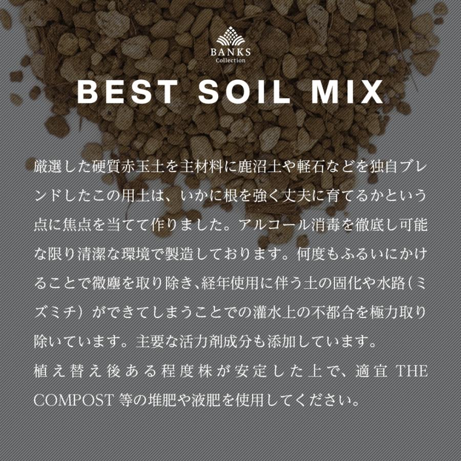 BSM1 Best Soil Mix 1L1袋 ベストソイルミックス 1リットル 観葉植物用
