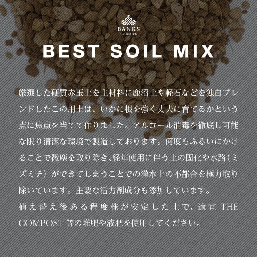 BSM1 Best Soil Mix 1L1袋 ベストソイルミックス 1リットル 観葉植物用培養土  バンクスコレクション｜bankscollection｜03