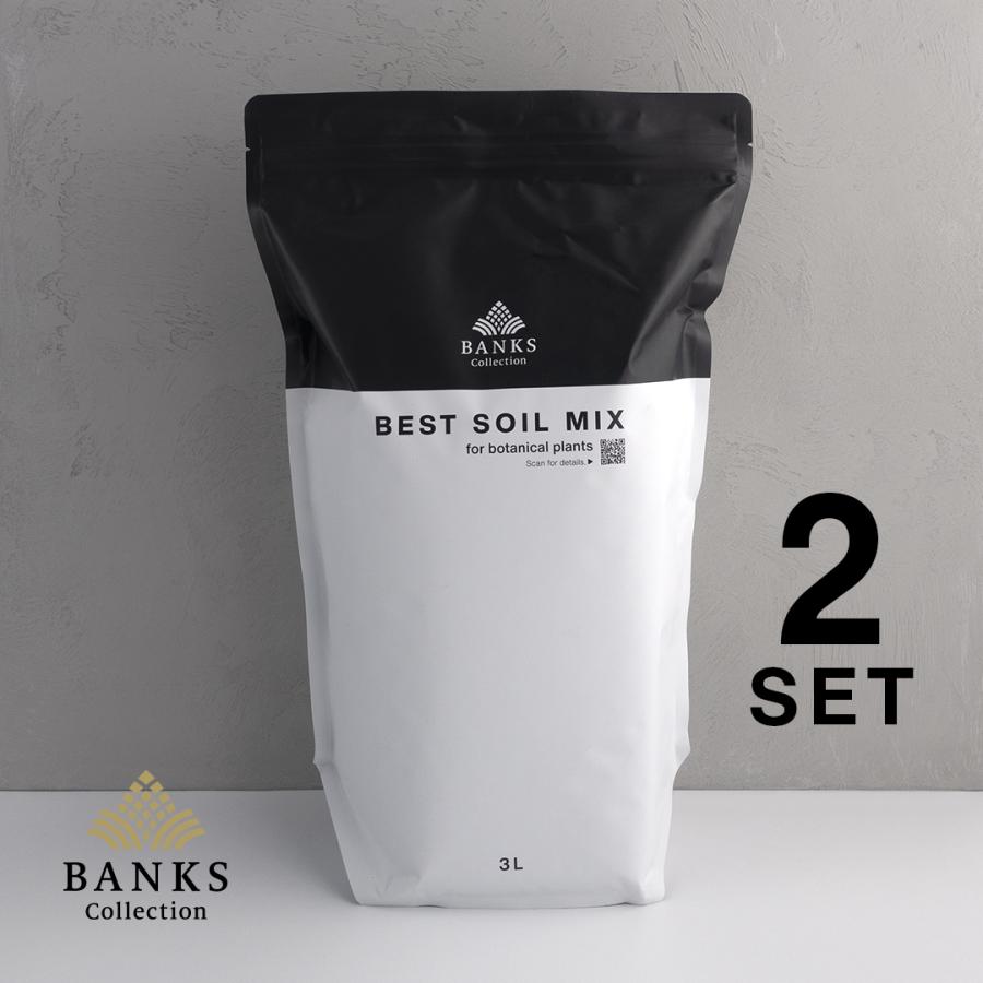 BSM3-2 ベストソイルミックス3L2袋 Best Soil Mix バンクス BSM3-2 ベストソイルミックス3L2袋 Best Soil Mix バンクス