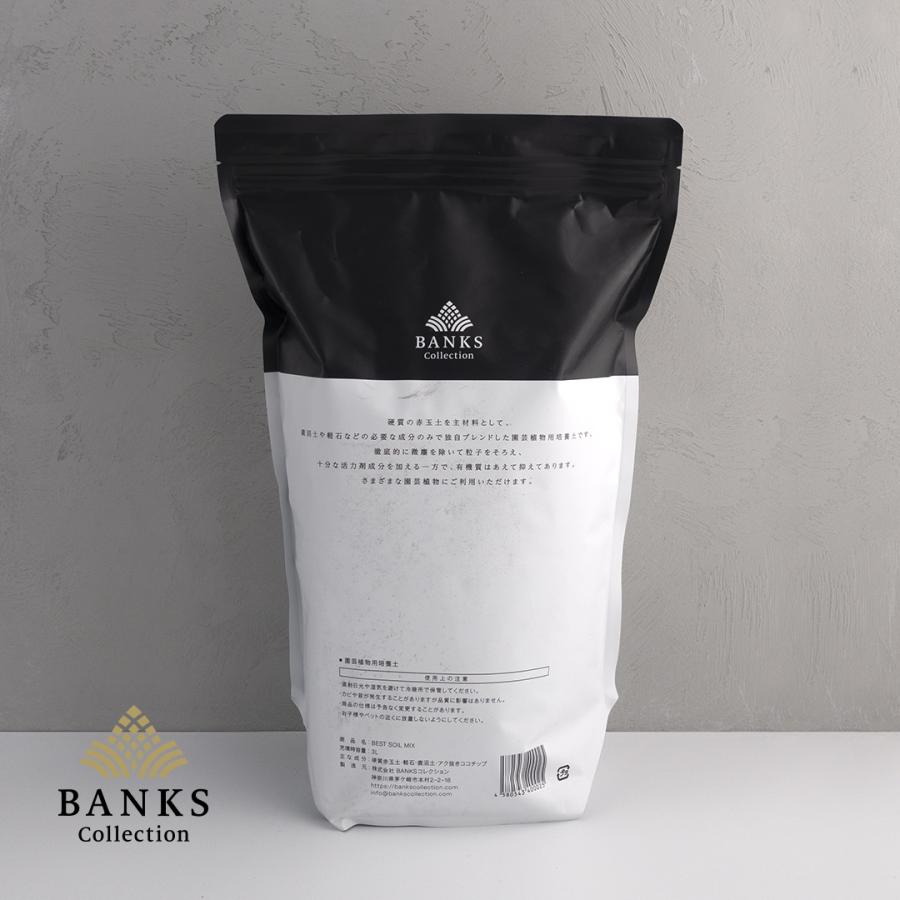 BSM3-6 ベストソイルミックス3L6袋 Best Soil Mix バンクス