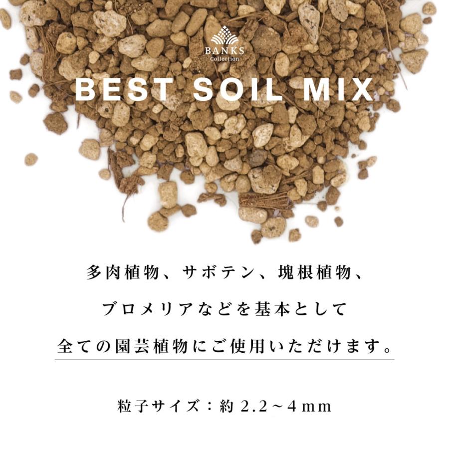 BSM3-6 ベストソイルミックス3L6袋 Best Soil Mix バンクスコレクション 観葉植物用培養土｜bankscollection｜03